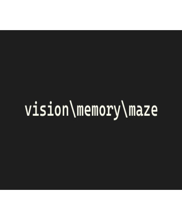 vision memory maze Steam Key GLOBAL